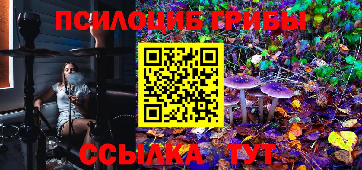 где купить наркоту  Галлюциногенные грибы Magic Shrooms  Волхов  Вход с VPN  Галлюциногенные грибы мицелий 