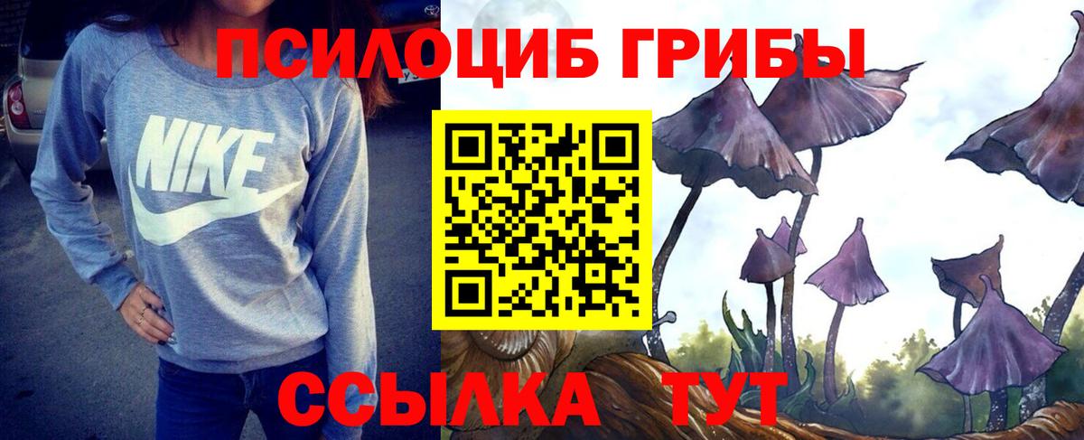 Галлюциногенные грибы мухоморы Волхов